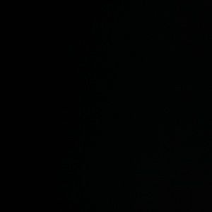 Meet your Posher, Samaury